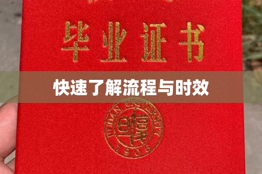 北屯快速了解流程与时效